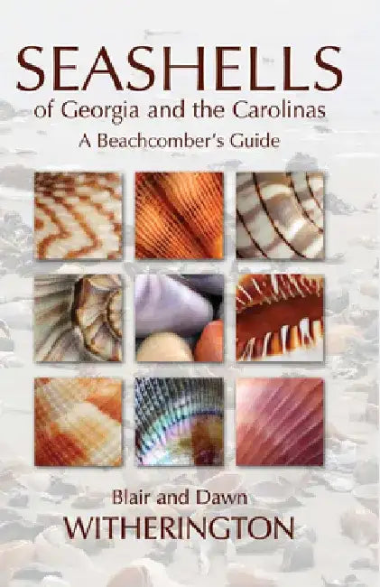 Seashells of Georgia and the Carolinas: A Beachcomber's Guide by Blair Witherington