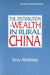 The Distribution of Wealth in Rural China by Terry McKinley