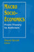 Macro Socio-Economics: From Theory to Activism: From Theory to Activism by David Sciulli