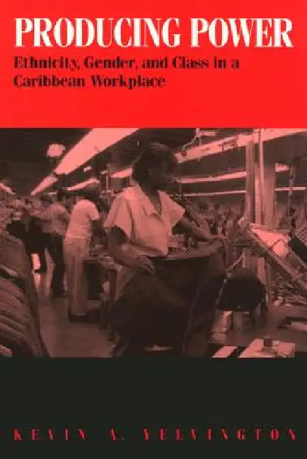 Producing Power: Ethnicity, Gender, and Class in a Caribbean Workplace by Kevin Yelvington