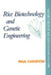Rice Biotechnology and Genetic Engineering: Biotechnology of Food Crops by Paul Christou