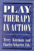 Play Therapy in Action: A Casebook for Practitioners by Lessie Perry, Ann Jernberg, Joop Hellendoorn