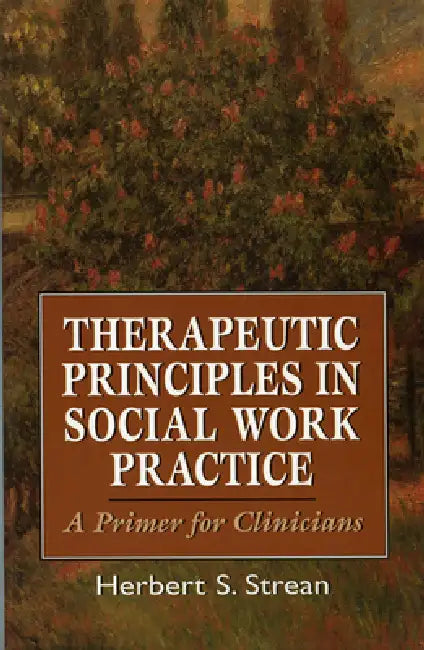 Therapeutic Principles in Social Work Practice: A Primer for Clinicians by Herbert S. Strean