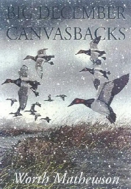 Big December Canvasbacks, Revised by Worth Mathewson