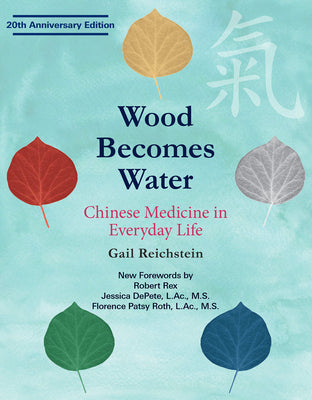 Wood Becomes Water: Chinese Medicine in Everyday Life by Gail Reichstein