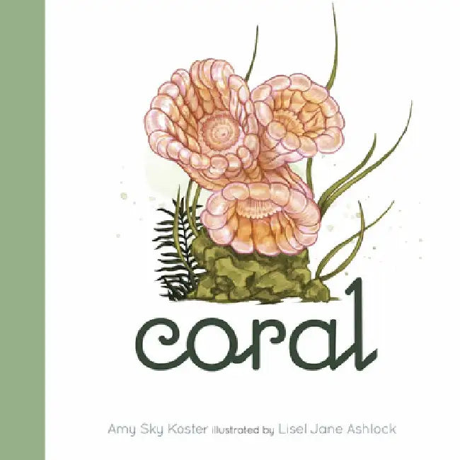 Coral by Amy Sky Koster