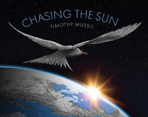 Chasing the Sun by Timothy Musso