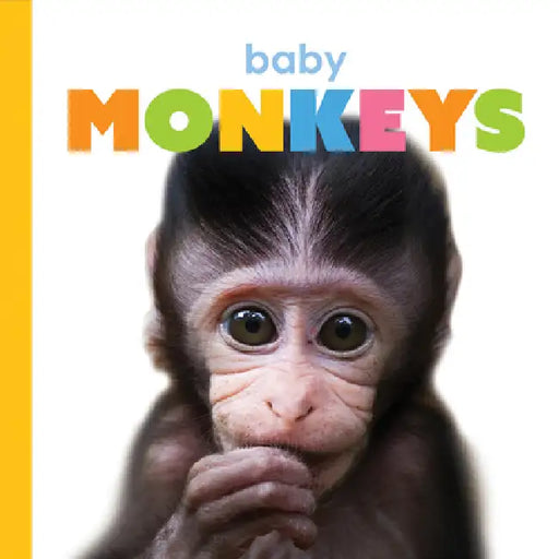 Baby Monkeys by Kate Riggs