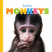 Baby Monkeys by Kate Riggs
