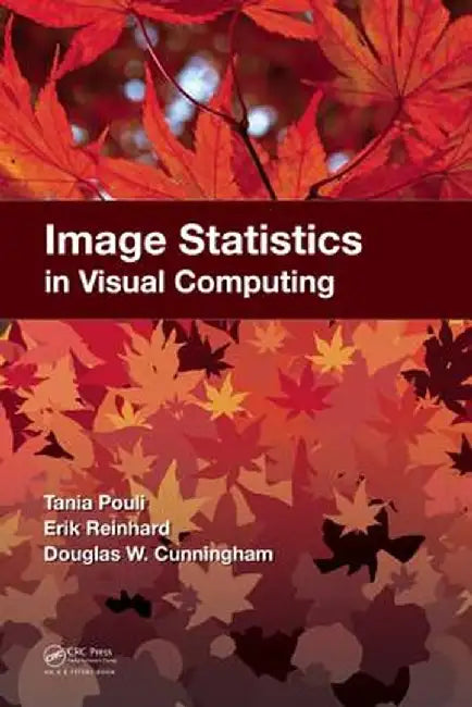 Image Statistics in Visual Computing by Tania Pouli