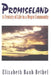 Promiseland: A Century of Life in a Negro Community by Elizabeth Rauh Bethel