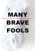 Many Brave Fools: A Story of Addiction, Dysfunction, Codependency...and Horses by Susan E. Conley