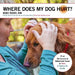 Where Does My Dog Hurt: A Hands-On Guide to Evaluating Pain and Dysfunction Using Chiropractic Methods by Renee Tucker