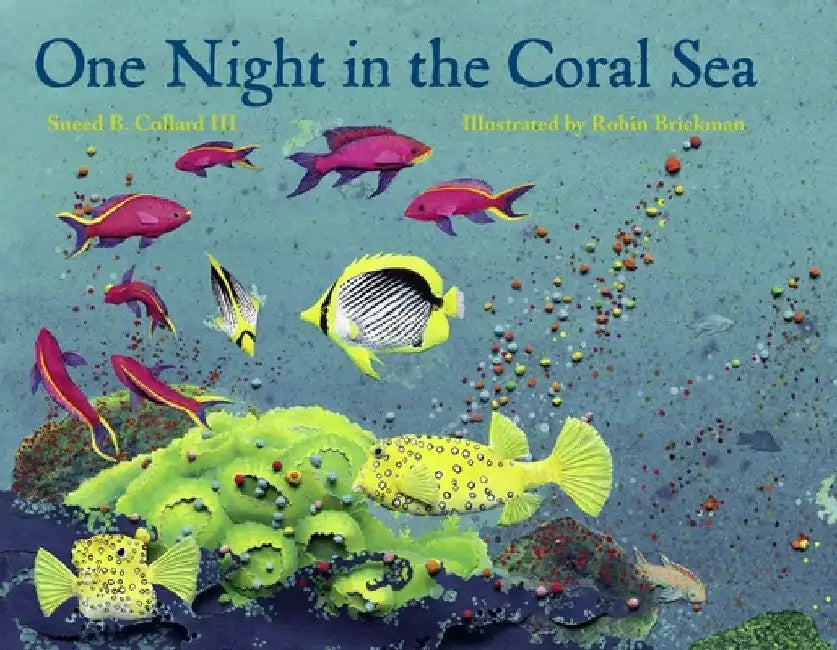 One Night in the Coral Sea by Sneed B., III Collard