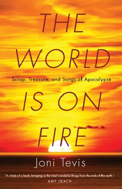 The World Is on Fire: Scrap, Treasure, and Songs of Apocalypse by Joni Tevis