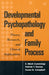 Developmental Psychopathology and Family Process: Theory, Research, and Clinical Implications by E. Mark Cummings, Patrick T. Davies, Susan B. Campbell