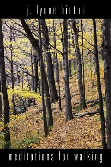 Meditations for Walking by J. Lynne Hinton