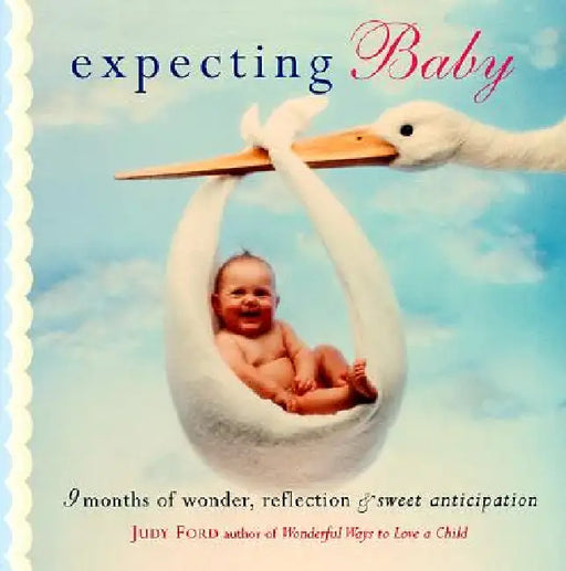 Expecting Baby: Nine Months of Wonder, Reflection and Sweet Anticipation (Pregnancy Book, First Time Mom) by Judy Ford