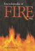 Encyclopedia of Fire by David E. Newton