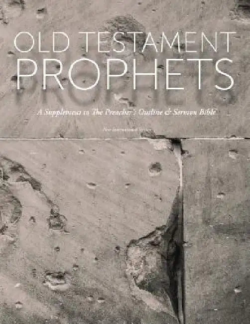 Old Testament Prophets: A Supplement to The Preacher's Outline & Sermon Bible (NIV) by Leadership Ministries Worldwide