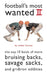 Football's Most Wanted II: The Top 10 Book of More Bruising Backs, Savage Sacks, and Gridiron Oddities by Walter Harvey