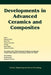 Developments in Advanced Ceramics and Composites: A Collection of Papers Presented at the 29th International Conference on Advanced Ceramics and Compo by Manuel E. Brito