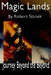 Journey Beyond the Beyond (Magic Lands, Book 1) by Robert Stanek