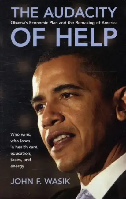 The Audacity of Help: Obama's Stimulus Plan and the Remaking of America by John F. Wasik