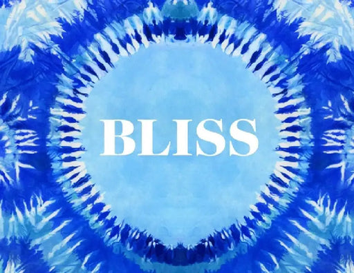Bliss: Transformational Festivals & the Neo Hippie by Steve Schapiro