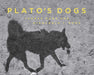 Plato's Dogs by Thomas Roma