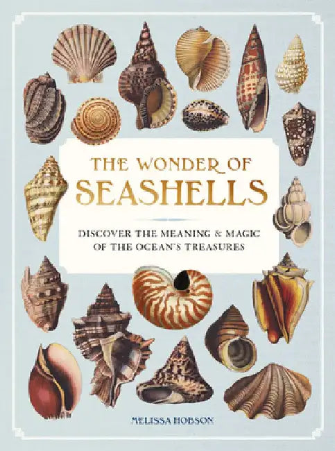 The Wonder of Seashells: Discover the Meaning and Magic of the Ocean's Treasures by Melissa Hobson
