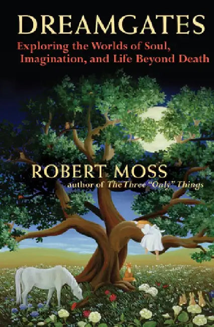 Dreamgates: Exploring the Worlds of Soul, Imagination, and Life Beyond Death by Robert Moss