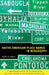 Native American Place Names in Mississippi by Keith A. Baca