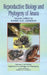 Reproductive Biology and Phylogeny of Anura by B. G. M. Jamieson