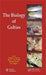 The Biology of Gobies by Robert Patzner