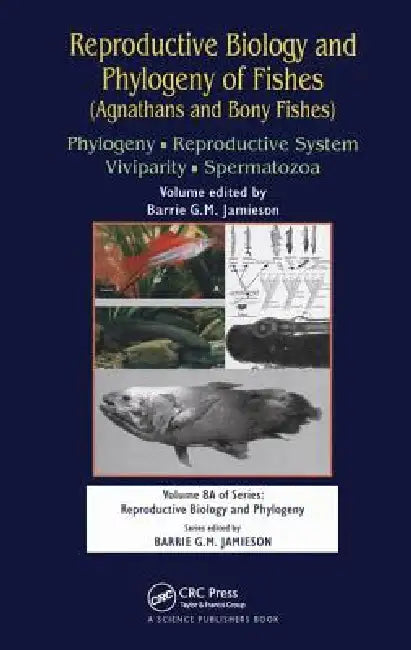 Reproductive Biology and Phylogeny of Fishes (Agnathans and Bony Fishes): Phylogeny, Reproductive System, Viviparity, Spermatozoa by Barrie G. M. Jamieson