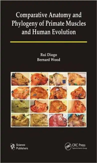 Comparative Anatomy and Phylogeny of Primate Muscles and Human Evolution by Rui Diogo
