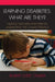 Learning Disabilities: What Are They?: Helping Teachers and Parents Understand the Characteristics by Robert Evert Cimera