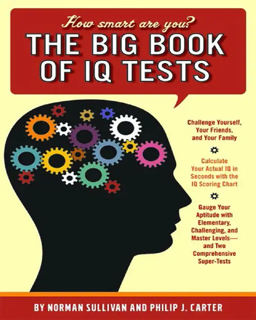 How Smart Are You?: The Big Book of IQ Tests by Norman Sullivan