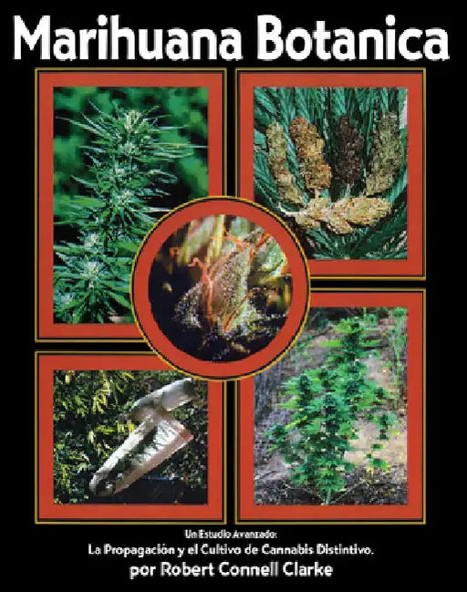 Marihuana Botanica: La Propagacion Y El Cultivo Cannabis Distintivo by Clarke, Robert Connell