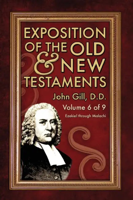 Exposition of the Old & New Testaments - Vol. 6 by John Gill