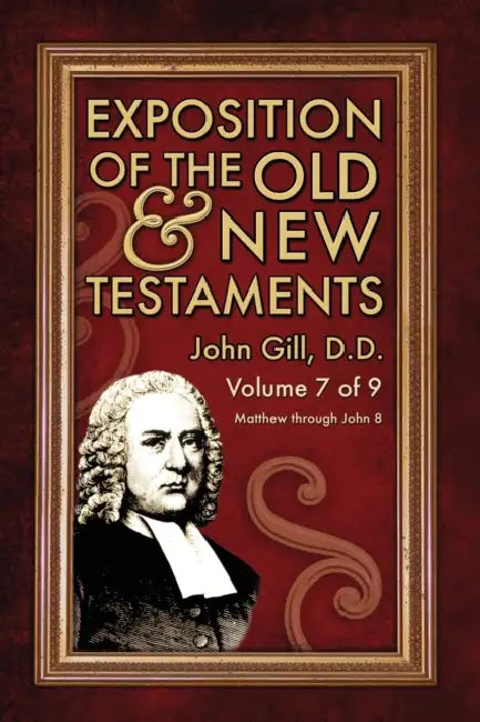 Exposition of the Old & New Testaments - Vol. 7 by John Gill