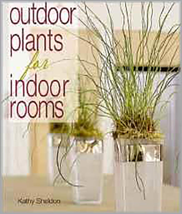 Outdoor Plants For Indoor Rooms