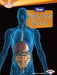 Your Digestive System by Rebecca L. Johnson
