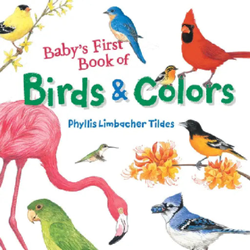 Baby's First Book of Birds & Colors by Phyllis Limbacher Tildes