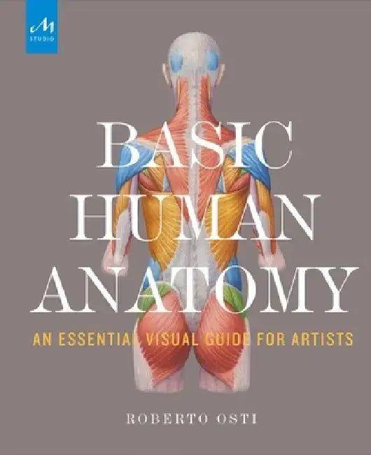 Basic Human Anatomy: An Essential Visual Guide for Artists by Roberto Osti