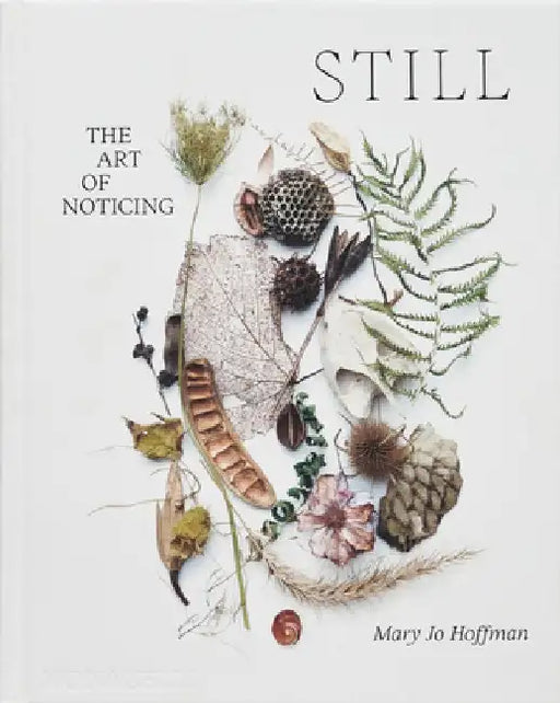 Still: The Art of Noticing by Mary Jo Hoffman