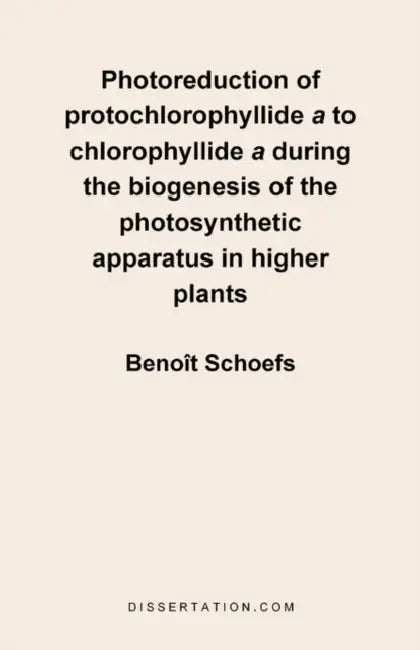 Photoreduction of Protochlorophyllide A to Chlorophyllide a During the Biogenesis of the Photosynthetic Apparatus in Higher Plants by Benoit Schoefs