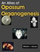 An Atlas of Opossum Organogenesis: Opossum Development by William J. Krause