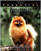 The Essential Pomeranian: Howell Book House's Essential by Howell Book House